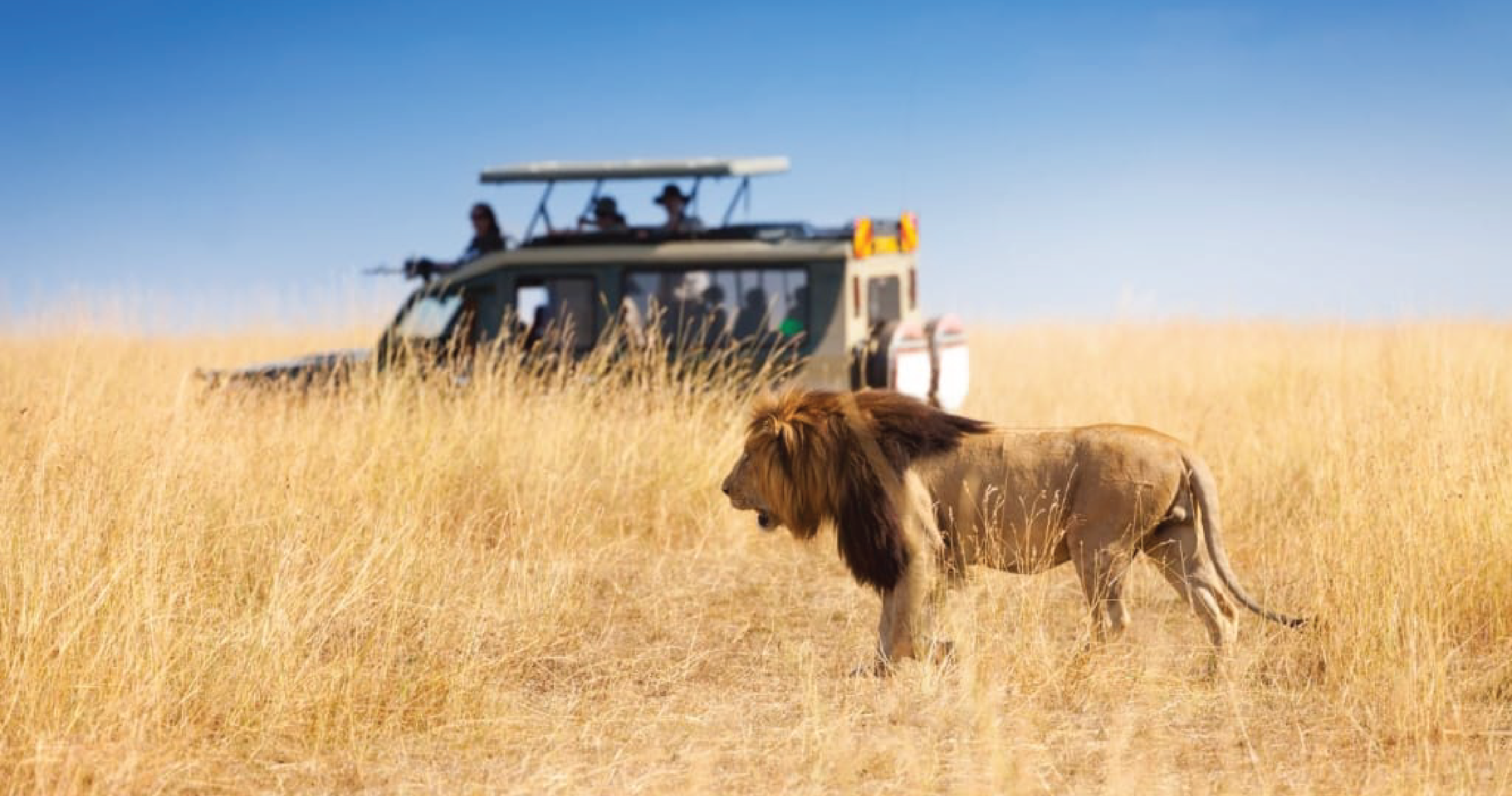 Inland safari tour itenaries